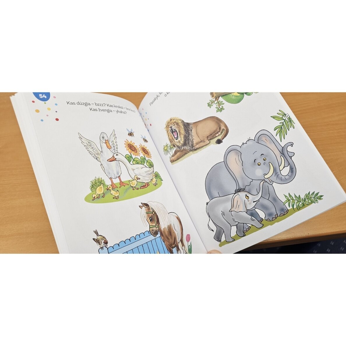 100 užduotėlių 3–4 metų vaikams. Logika, motorika, atmintis, spalvos