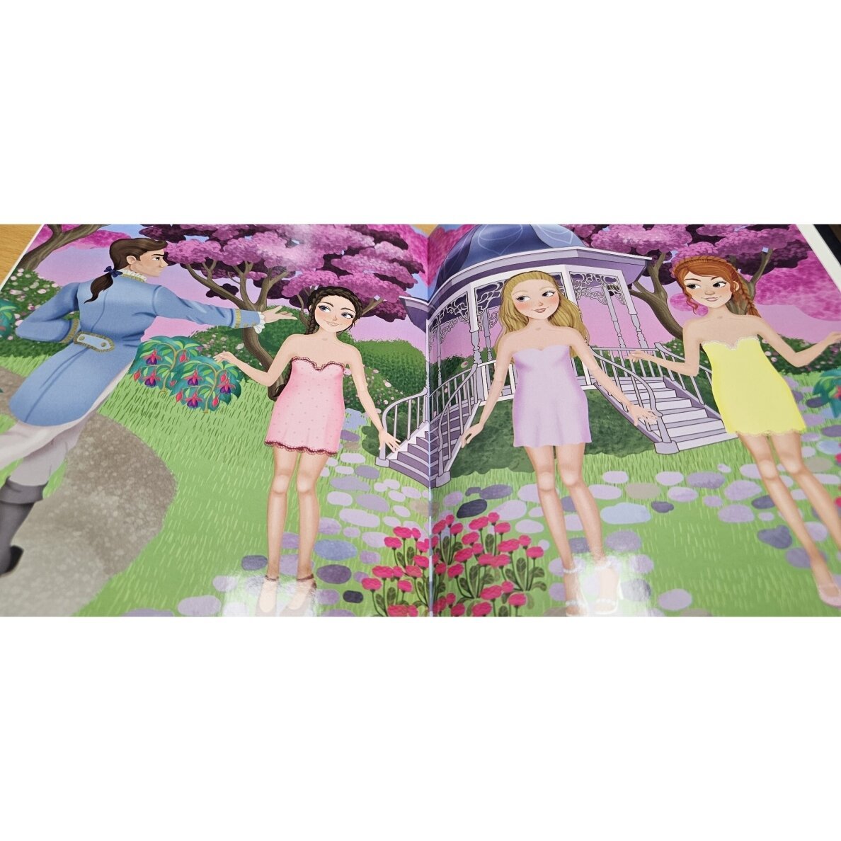 Aprenk karalaites. Su 70 daugkartinių lipdukų - Image 3