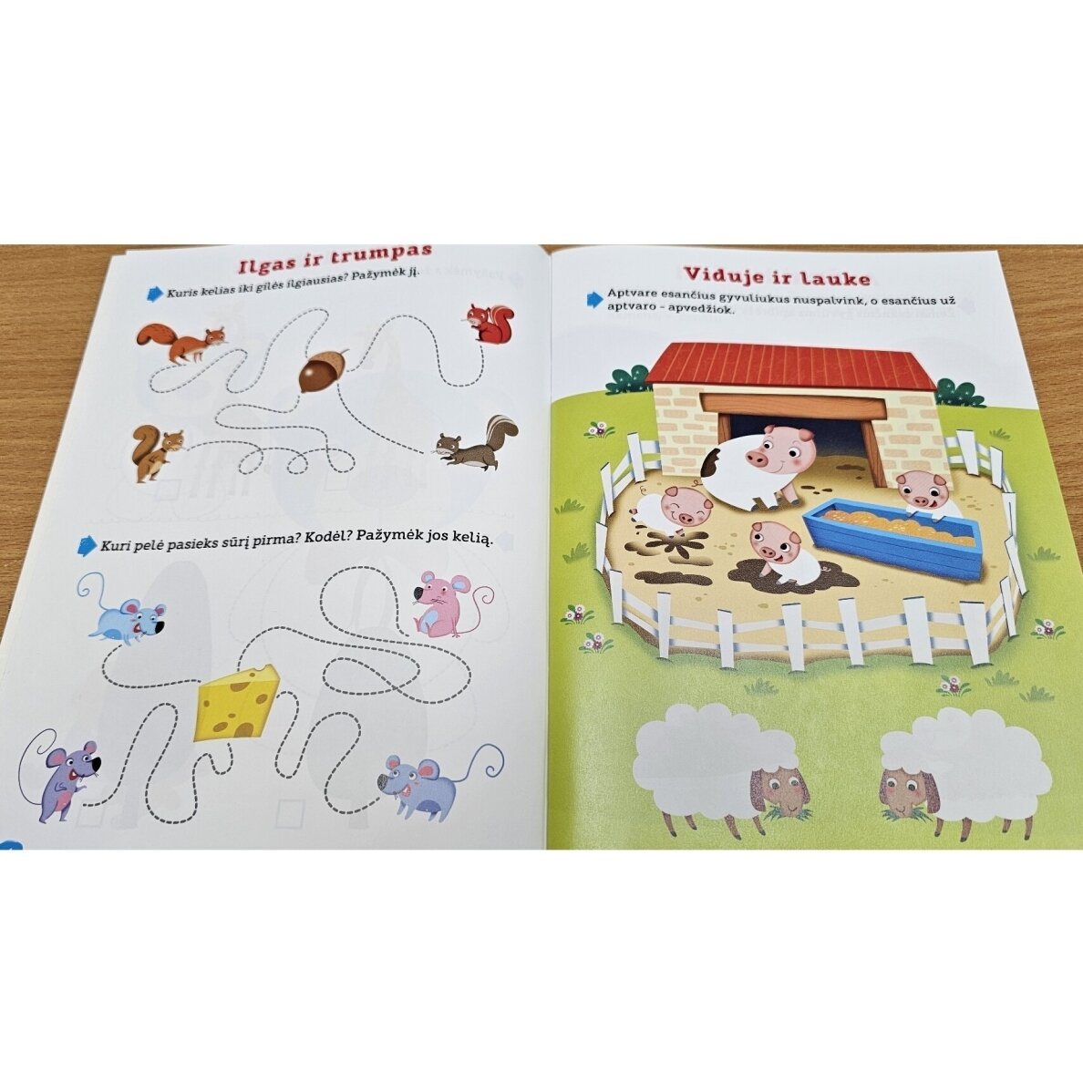 Loginio mąstymo ugdymas, rankos lavinimas, pažintis su skaičiais ir raidėmis. 4-5 metų vaikams - Image 7