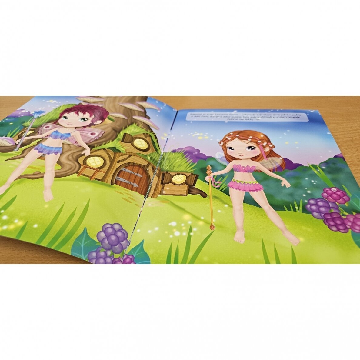 Aprenk mane! Mažosios fėjos. Su daugkartiniais lipdukais