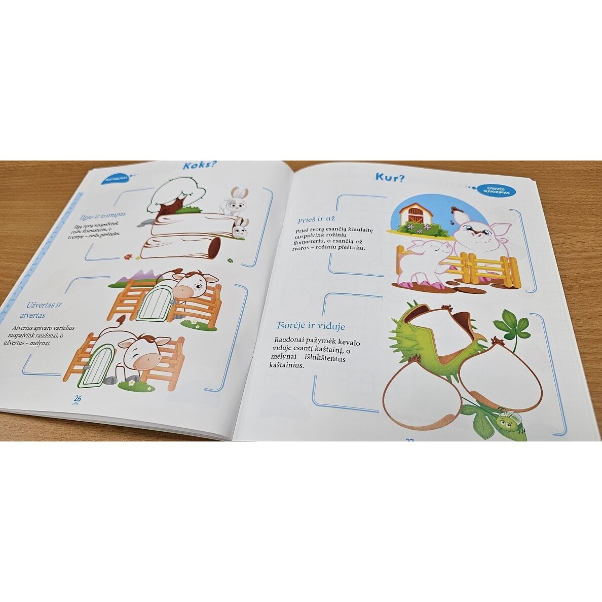 Būsiu pirmokas. Rankos lavinimas, mąstymo ugdymas, pažintis su raidėmis ir skaičiais 5-6 metų vaikams - Image 4