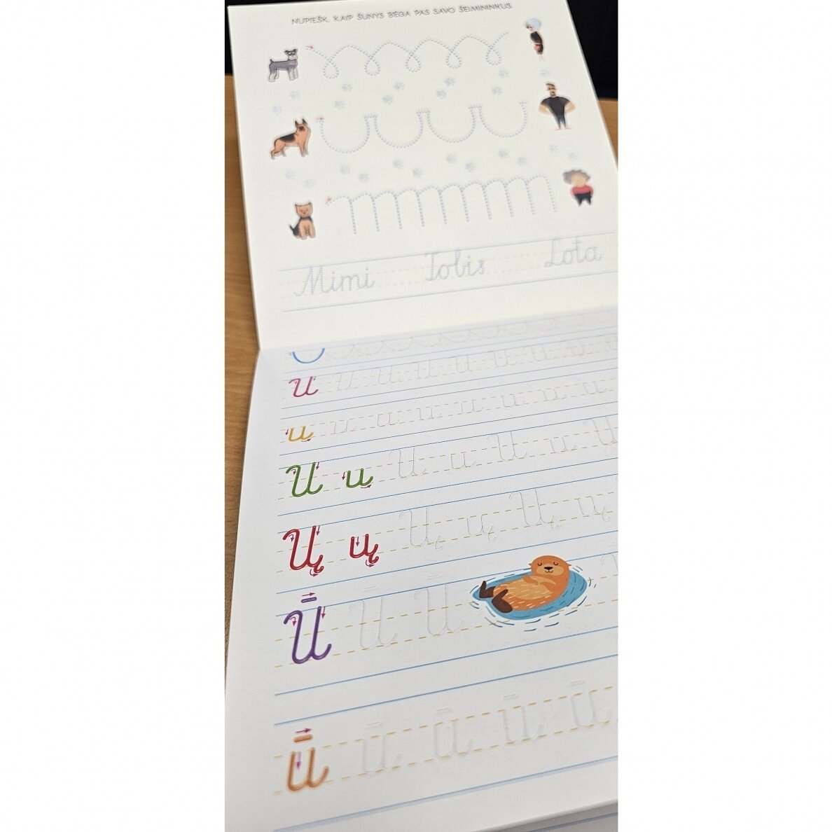 Dailyraštis. Knyga su grioveliais. 6-7 metų vaikams - Image 3