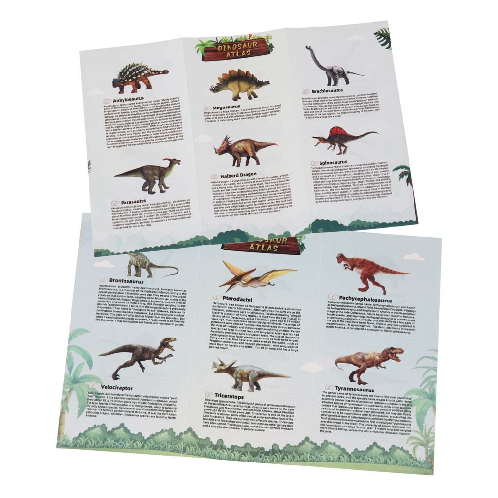 Dinozaurų atlasas su paveikslėliais ir aprašymais anglų kalba