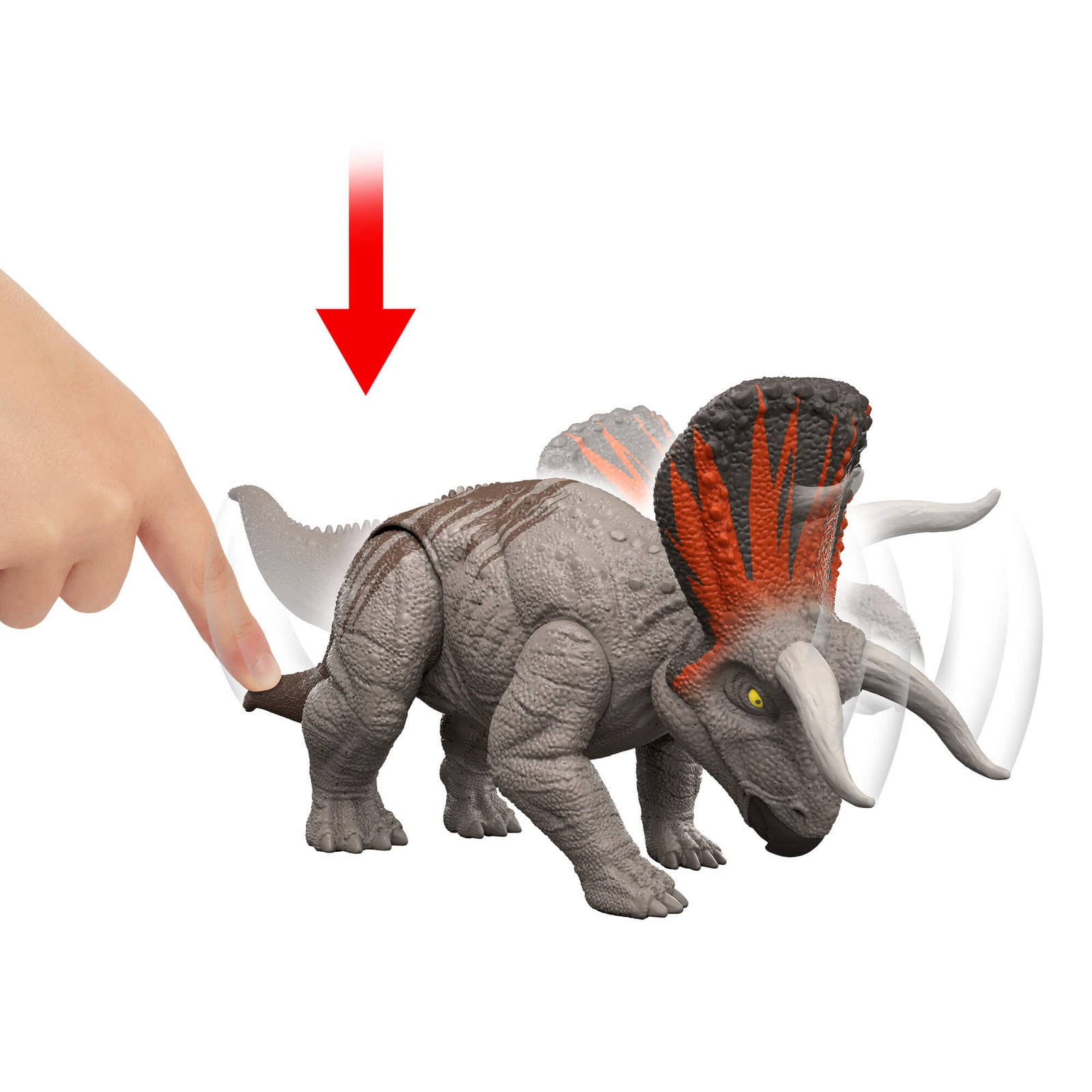 Pirštu spaudžiama Zuniceratops nugara – ragai kerta žemyn